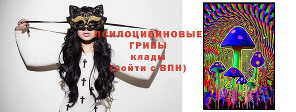 ПСИЛОЦИБИНОВЫЕ ГРИБЫ Новый Уренгой