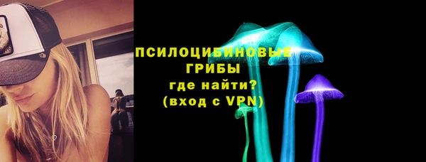 ПСИЛОЦИБИНОВЫЕ ГРИБЫ Новый Уренгой