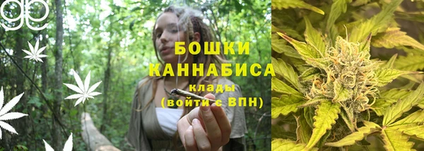 сатива Орехово-Зуево