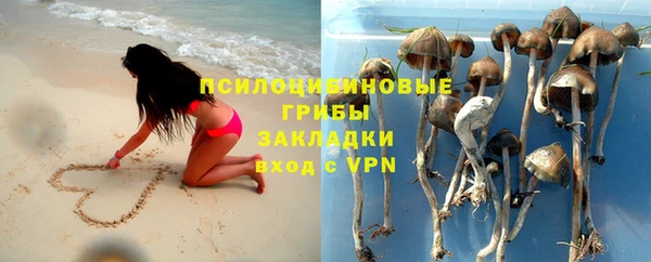 ПСИЛОЦИБИНОВЫЕ ГРИБЫ Новый Уренгой