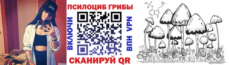 Галлюциногенные грибы Cubensis  Ардон 